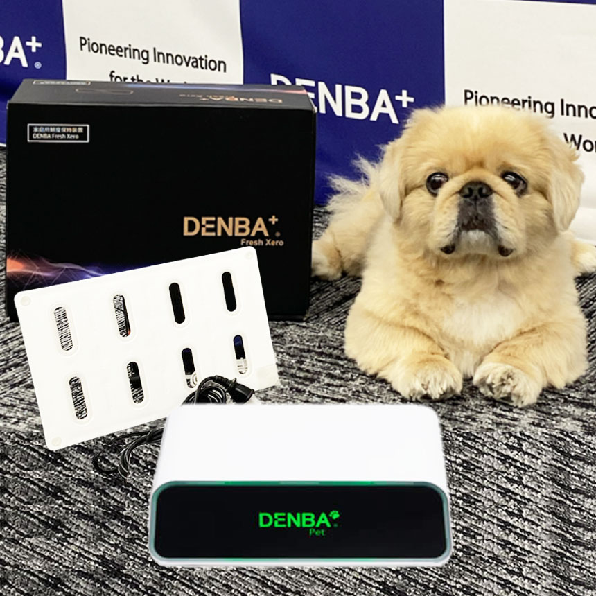 DENBA Pet 242,000円デンバ 愛玩動物