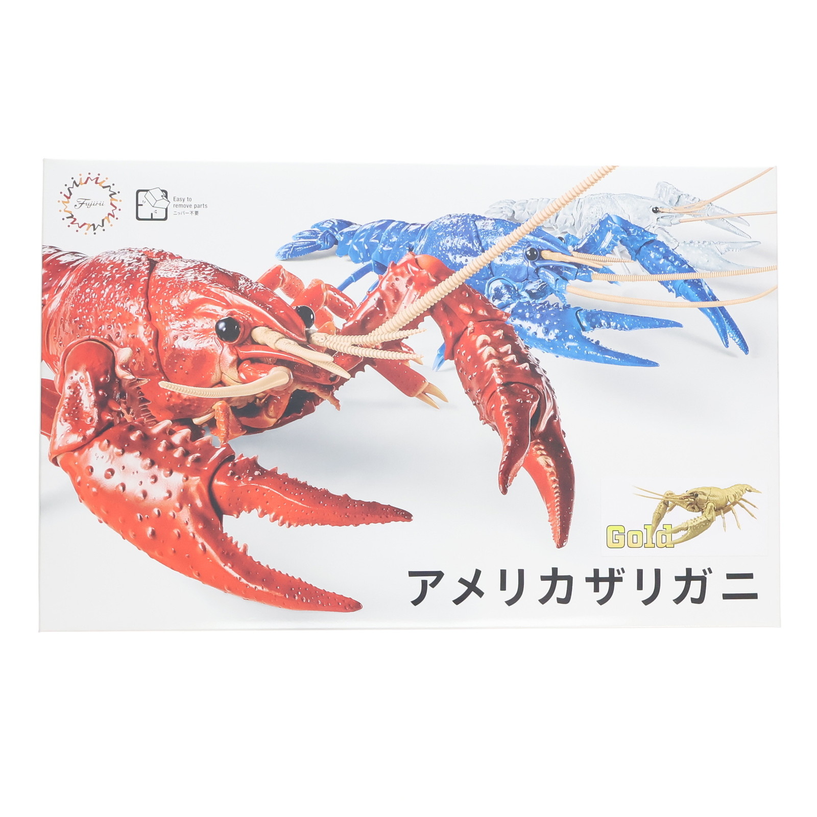 楽天市場】自由研究シリーズ No.24 EX-6 いきもの編 アメリカザリガニ