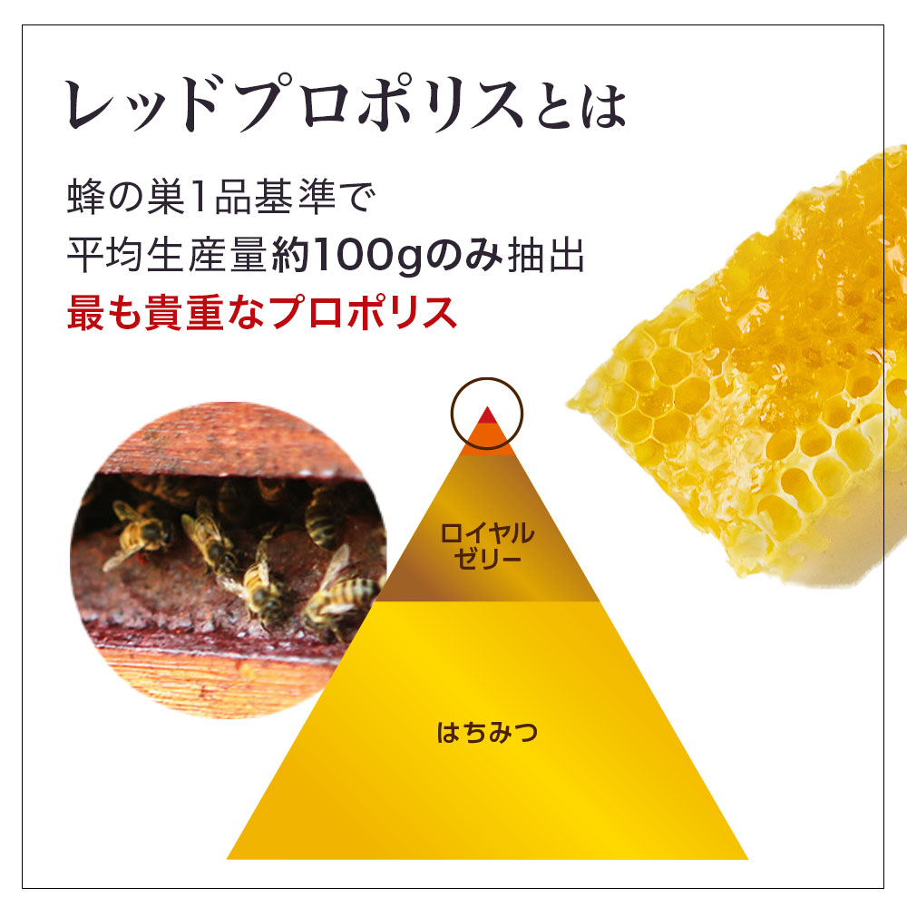 高級な クッションファンデレフィル クレンジングセット CCインテンスカバークッションEX レフィル 詰め替え用 2個 MXCLオイルトゥフォーム  カバー力抜群 ツヤ肌仕上げ SPF50 PA 角質ケア ダブル洗顔不要 bellofestas.com.br