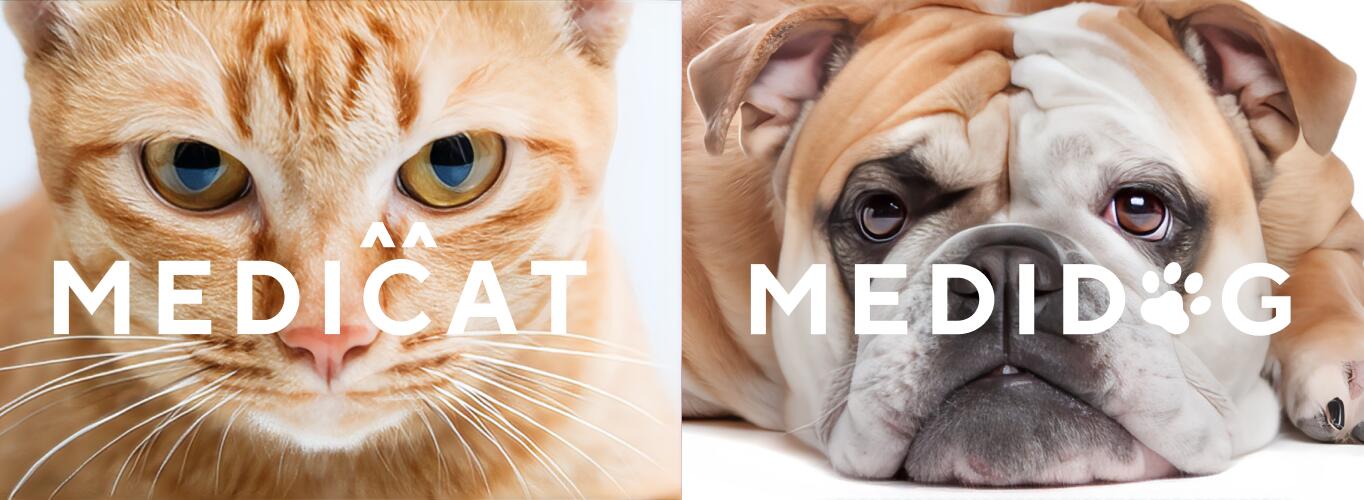 MEDICAT����åס�MEDICAT����å�