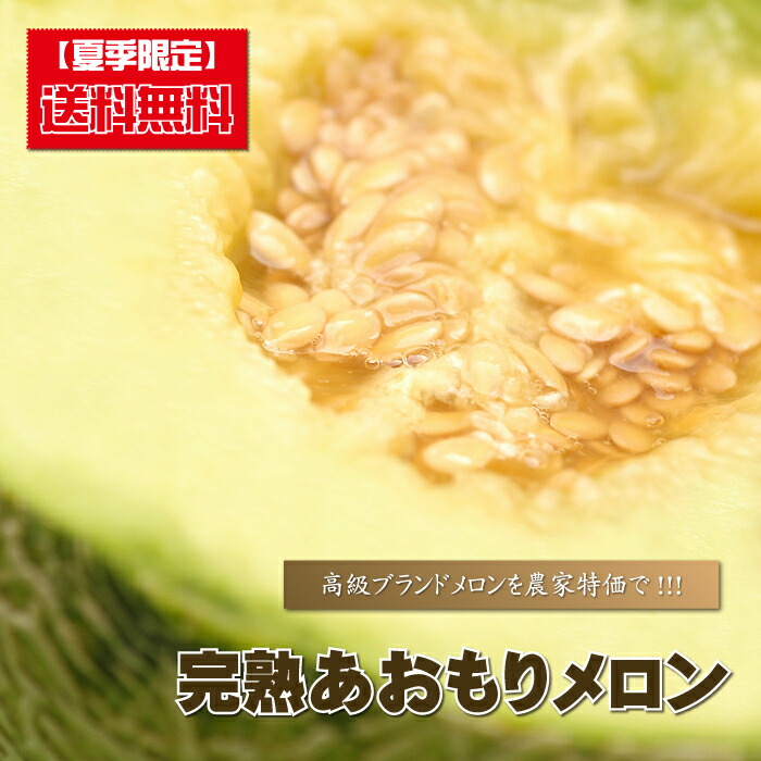 メロン 送料無料 『 ★完熟収穫★大玉あおもりメロン 』 めろん 送料込み画像