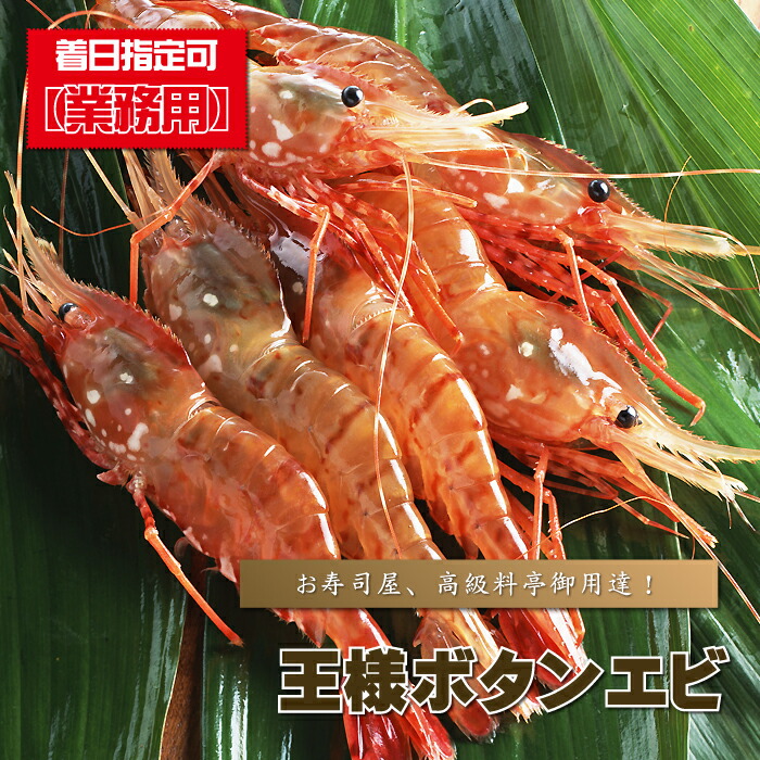 ぼたんえび 特大 『 【お刺身用】　王様ボタンエビ/５００ｇ前後 』 ぼたん海老 ボタン海老 牡丹海老