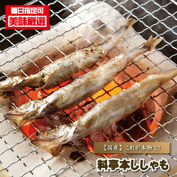 シシャモ 干し 北海料亭本ししゃも 子持ち 本入り 北海道産 柳葉魚 たまご タマゴ 卵 めす メス 雌 荒波うねる北の海で漁獲された超希少なホンモノの本ししゃも 風味や食感は市販のカラフトししゃもとは全くの別物 しっかりと引き締まった身とプチプチパラパラの卵は