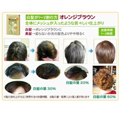 安心の日本製 ヘアカラー ヘアマニキュア ヘナ グリーンノートヘナ ブラウン系 100g 全2色 3個セット 最終値下 Www Endocenter Com Ua