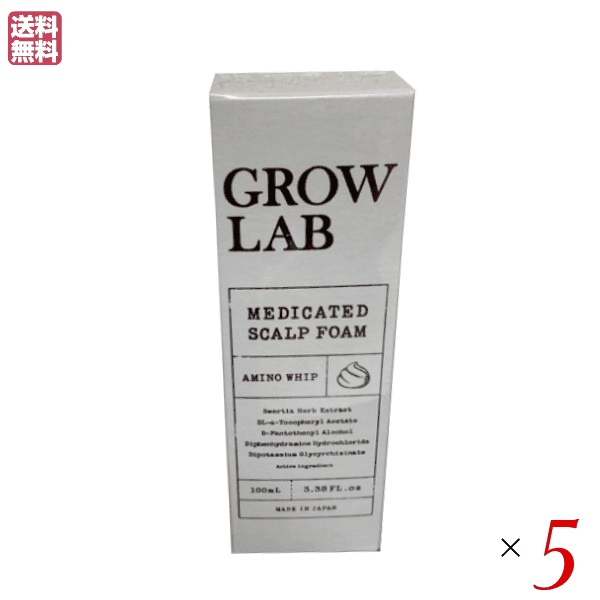 育毛 養毛剤 ポイント6倍 最大32 5倍 グロウラボ Grow プレゼント ギフト 母の日 送料無料 男性 育毛剤 育毛 ５個セット 医薬部外品 100ml メディケイテッドスカルプフォーム Lab 高質 F84 Sk