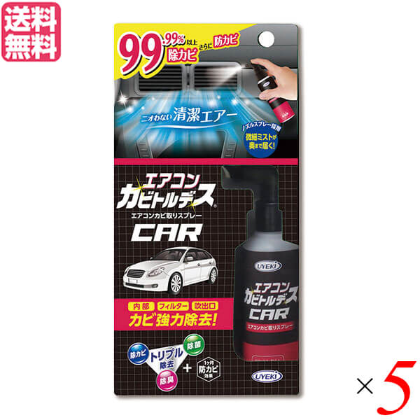【マラソン限定！ポイント2倍！】エアコン クリーナー スプレー エアコンカビトルデス車用 80mL 5本セット 送料無料