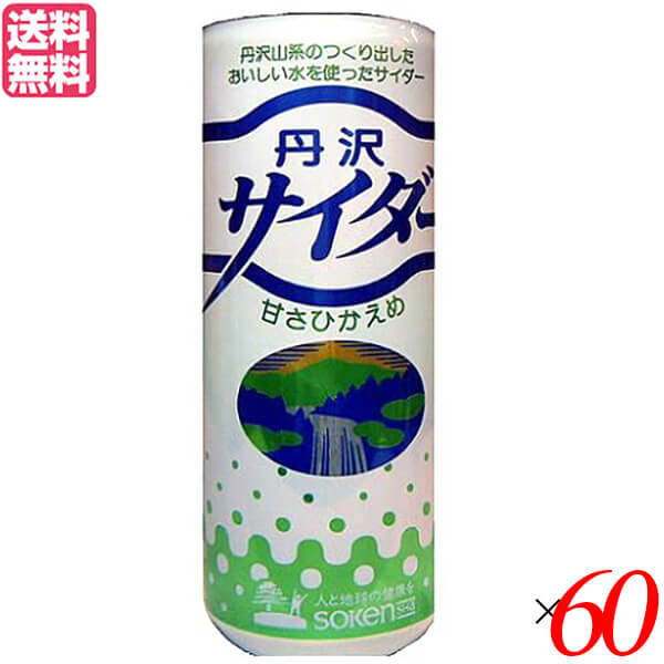 【マラソン限定！100円クーポン】サイダー ソーダ 炭酸 創健社 丹沢サイダー 250ml 60本セット 送料無料