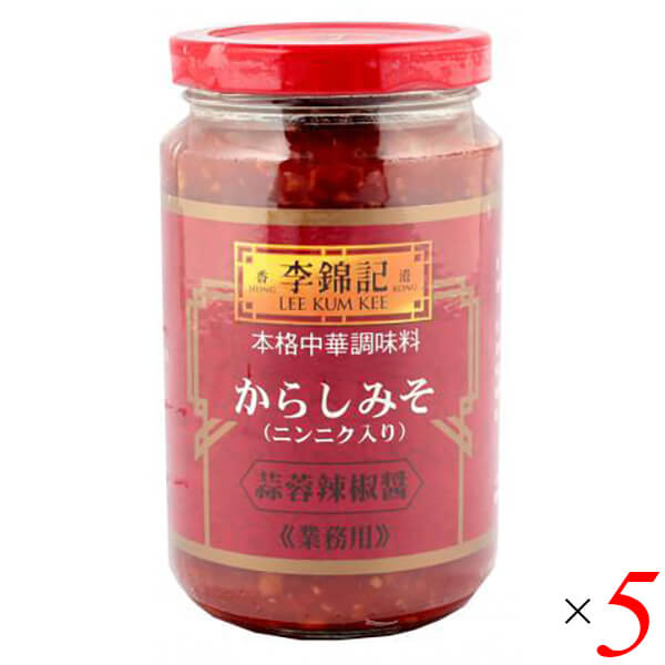 【マラソン限定！学割2倍！100円クーポン！】唐辛子みそ からしみそ からし味噌 李錦記 蒜蓉辣椒醤 からしみそニンニク入り 368g 5個セット 送料無料