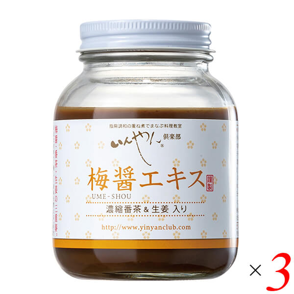 【4/18(土)限定！ポイント最大7倍！】梅梅醤エキス 濃縮番茶＆生姜入り 250g 3個セット いんやん倶楽部