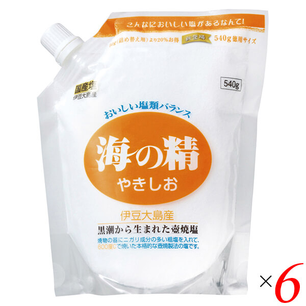 【マラソン限定！ポイント2倍！】塩 天然塩 天日 海の精 やきしお（スタンドパック）540g 6個セット 送料無料
