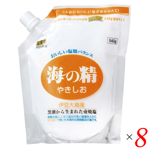 【マラソン限定！ポイント2倍！】塩 天然塩 天日 海の精 やきしお（スタンドパック）540g 8個セット 送料無料