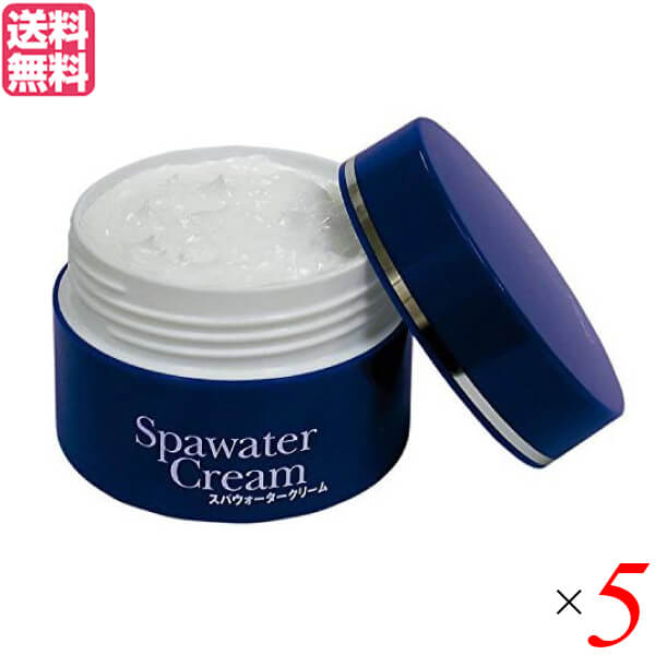 オールインワン 皮膚軟化剤 コエンザイムQ10 スパウォータークリーム 80g 持ち合い舎密学 5個仕掛ける 貨物輸送無料