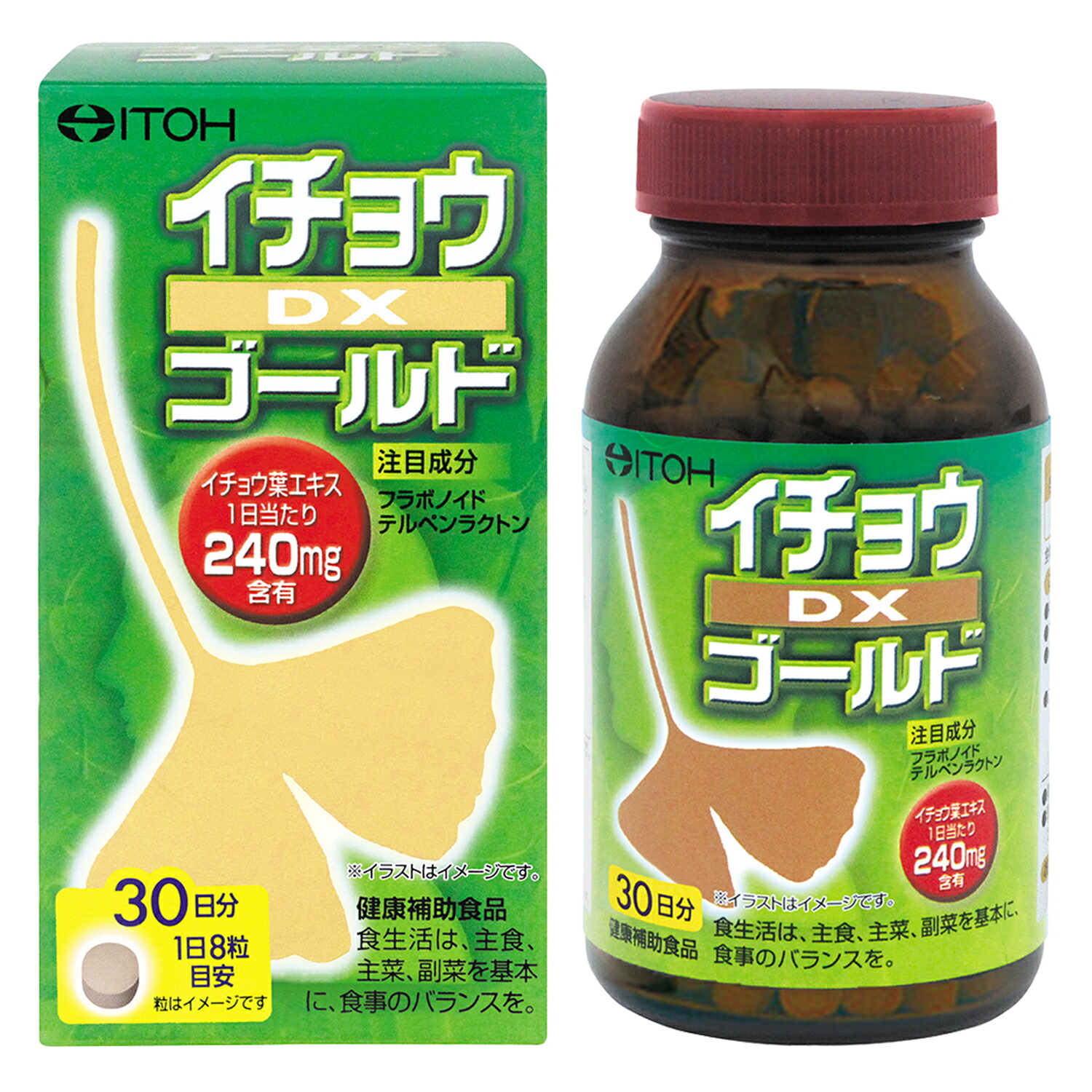 【貨物輸送無料】井藤漢方製薬 240粒×１０ 公孫樹 DXゴールド 240粒×１０