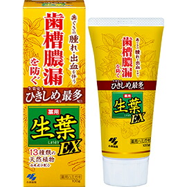 【医薬部外品】【送料無料】10個 宅配便 小林製薬 薬用 生葉EX 100g|メガヘルスマート