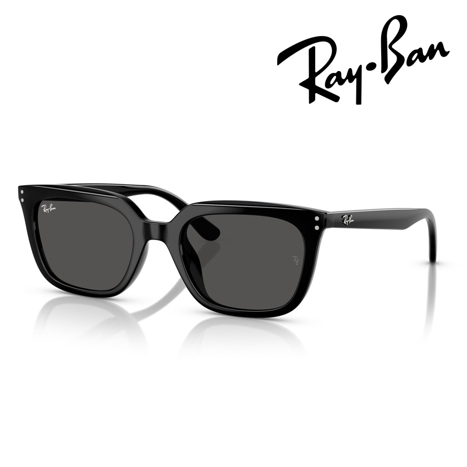 Ray-Ban レイバン サングラス RB4439D 901/87 54mm ブラック 国内正規品 保証書付 UVカット 紫外線