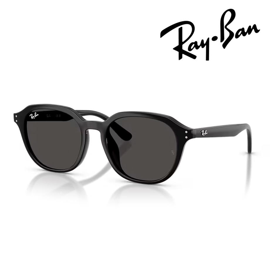 Ray-Ban レイバン サングラス RB4459D 901/87 54mm ブラック 国内正規品 保証書付き UVカット｜メガネのハヤミ　店