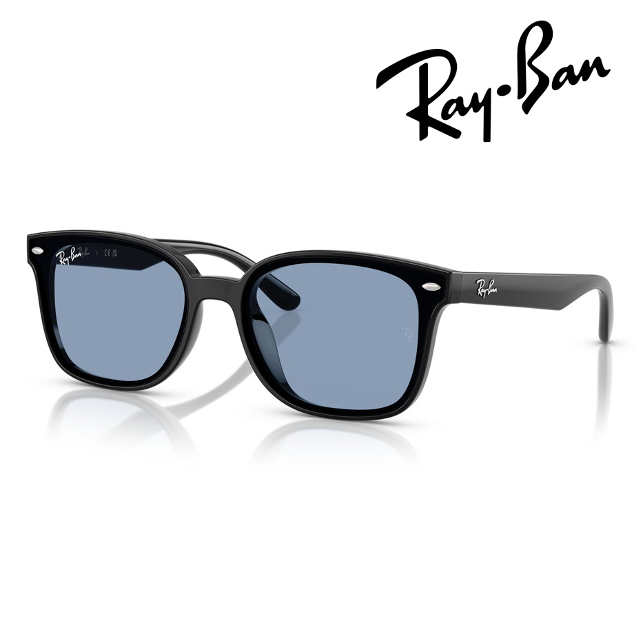 Ray-Ban レイバン サングラス RB4461D 601/80 64mm ブラック 紫外線 UVカット 国内正規品 保証書付