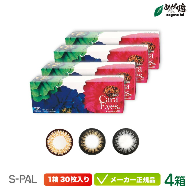ワンデーキャラアイ カラーシリーズ 30枚入り 4箱セット sp1d0104