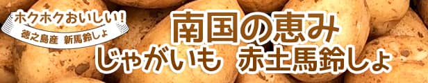 楽天市場】【予約2023年】新じゃがいも 送料無料 10kg M~3Lサイズ混合 赤土 新じゃが 九州鹿児島徳之島産 にしゆたか 贈物 ギフト 長期保存  コロナ 応援 箱買い 南国野菜 南の島 産地直送 馬鈴薯 南国の恵み 新ばれいしょ じゃが芋 : 南国の恵み徳之島恵実菜園