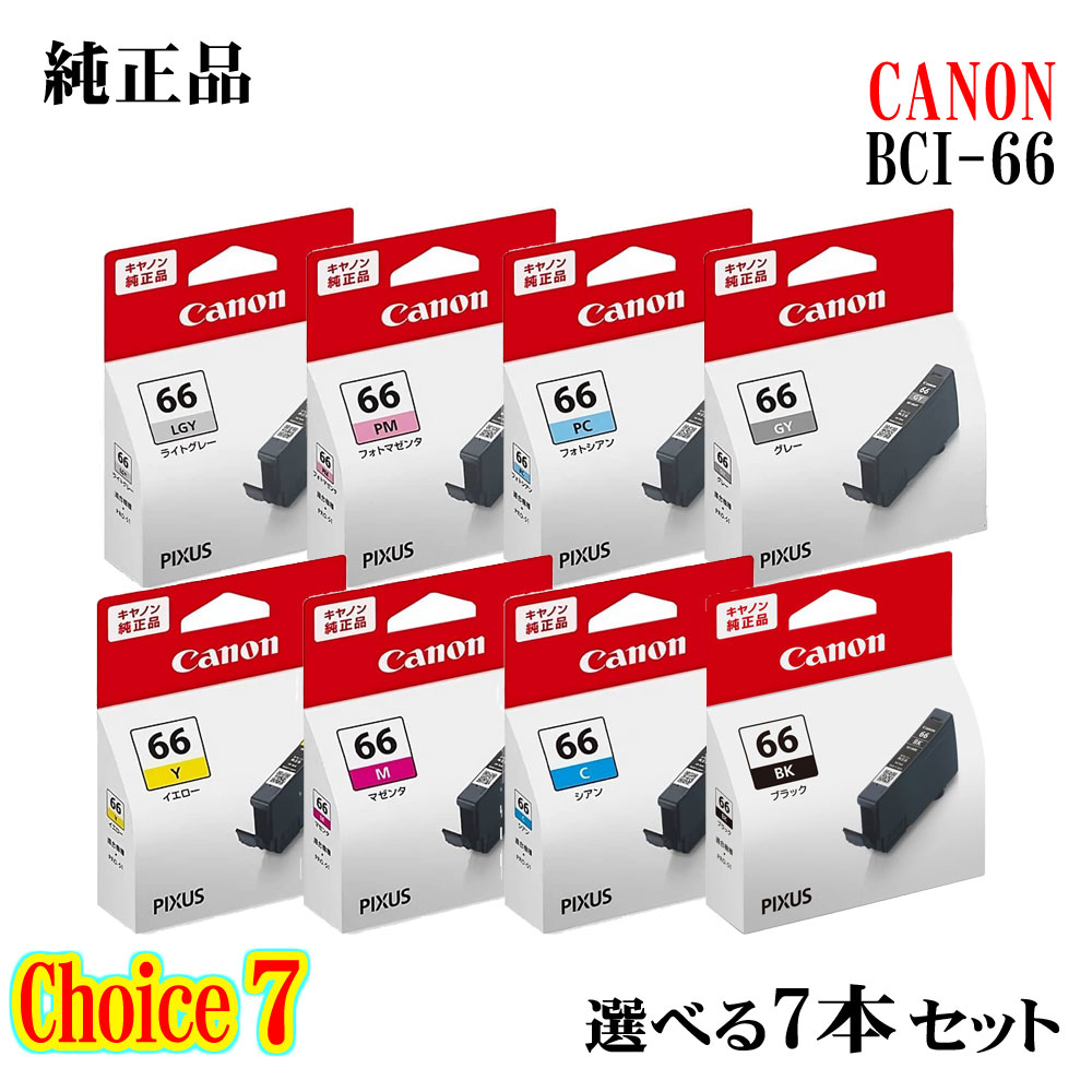 Canon Pro S1 インクカートリッジ 66 20個セット 純正品 Canon Pro S1 インクカートリッジ 66 20個セット 純正品