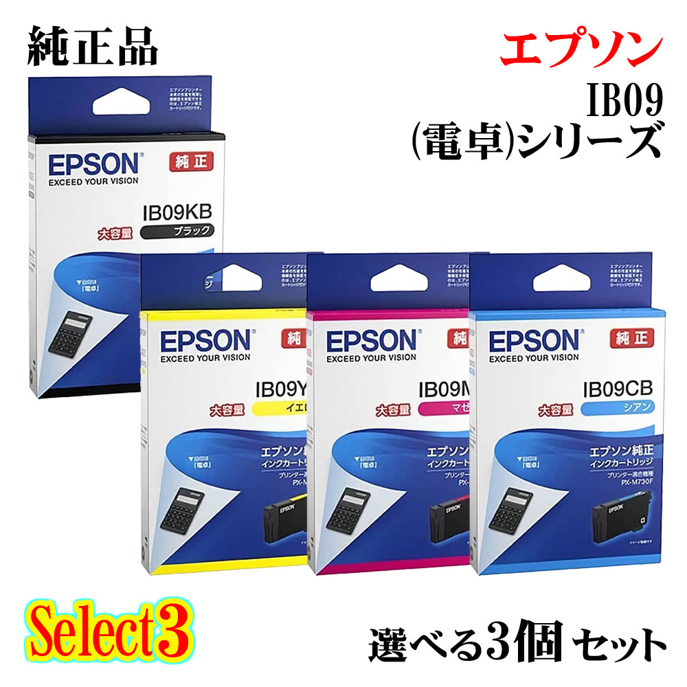 EPSON IB09KB 4個セット ib09b-s3.jpg