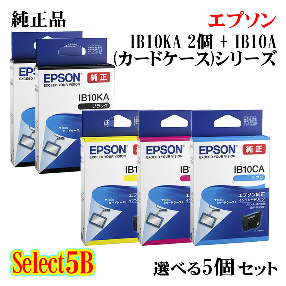 【完全無欠品 5個仕掛ける】EPSONエプソン より分ける5Bインキ薬莢 IB10A (歌留多入れもの) 5個仕掛ける黒いこと 2個と選べる色つや 3個