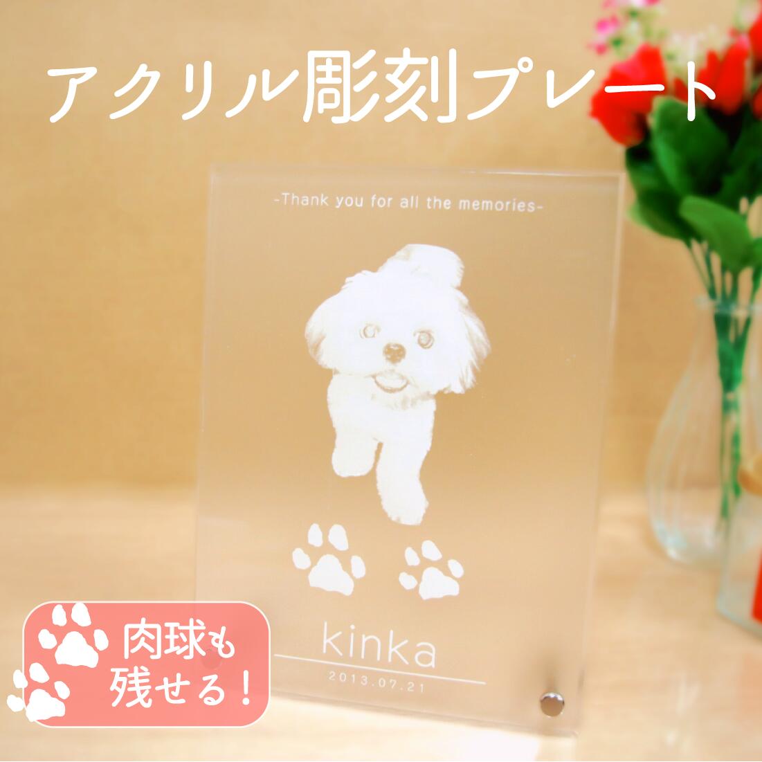 楽天市場】【25日P最大8倍！限定クーポン有】 NAO 仔犬の誕生日