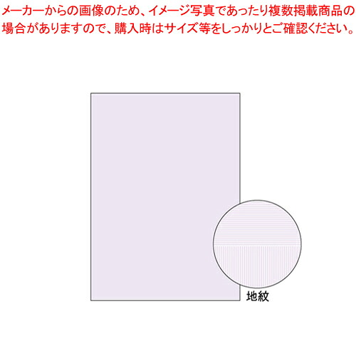 【まとめ買い10個セット品】コピー偽造予防用紙 BP2110 1袋