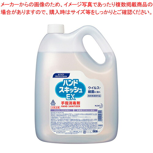 ハンドスキッシュEX 付替え 4.5L 507211 1本