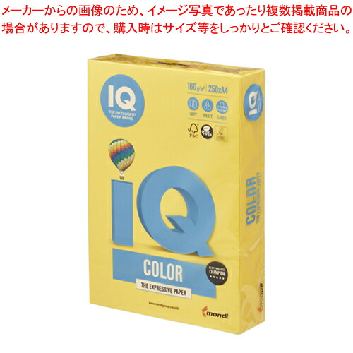 【まとめ買い10個セット品】バイオトップカラー A4判 250枚 BT829 マスタード 1冊|厨房卸問屋 名調