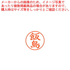 【まとめ買い10個セット品】ネーム9 既製 飯島 XL-9 0137 イイジマ 1本|厨房卸問屋 名調