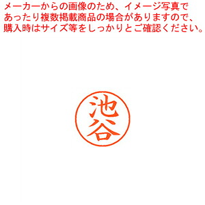 【まとめ買い10個セット品】ネーム9 既製 池谷 XL-9 0161 イケタニ 1本｜厨房卸問屋 名調