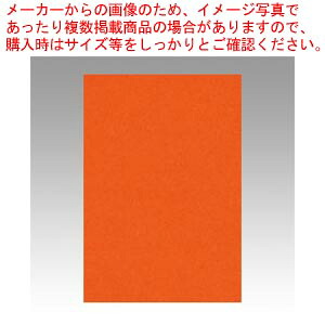 【まとめ買い10個セット品】ニューカラー8切 100枚 8NCR-235 シュイロ 1冊