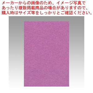 【まとめ買い10個セット品】ニューカラー8切 100枚 8NCR-231 アカムラサキ 1冊