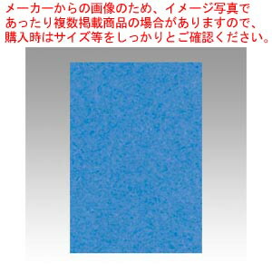 【まとめ買い10個セット品】ニューカラー8切 100枚 8NCR-250 ソライロ 1冊