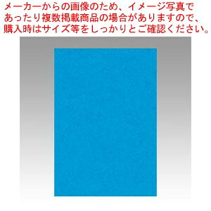 【まとめ買い10個セット品】ニューカラー8切 100枚 8NCR-216 ウスアオ 1冊｜厨房卸問屋 名調