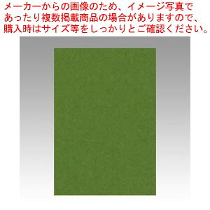 【まとめ買い10個セット品】ニューカラー8切 100枚 8NCR-316 オリーブ 1冊