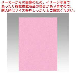【まとめ買い10個セット品】ニューカラー4切 100枚 4NCR-234 トキイロ 1冊