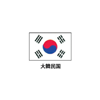 旗(世界の国旗)　エクスラン国旗　大韓民国　取り寄せ商品