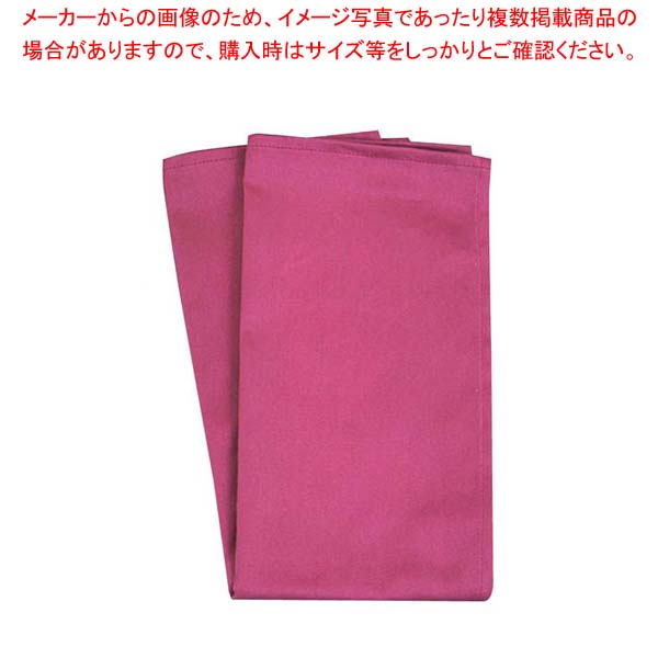 【まとめ買い10個セット品】 カラートーション ワインレッド