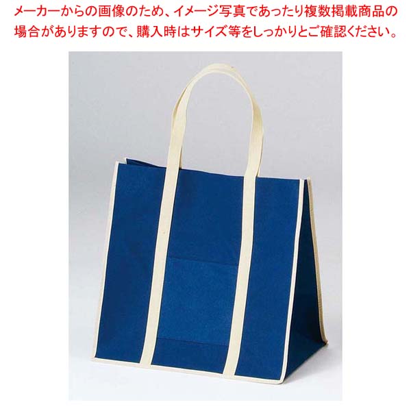 【まとめ買い10個セット品】 ファインビュー不織布バッグ(10枚入)大 ネイビー