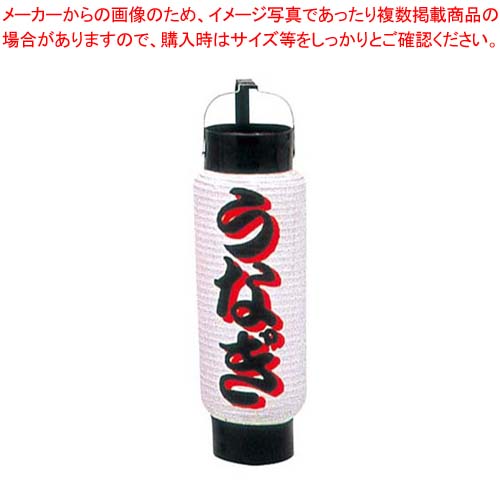 【まとめ買い10個セット品】 ミニ提灯 5号 弓張 1053 うなぎ 24,460円