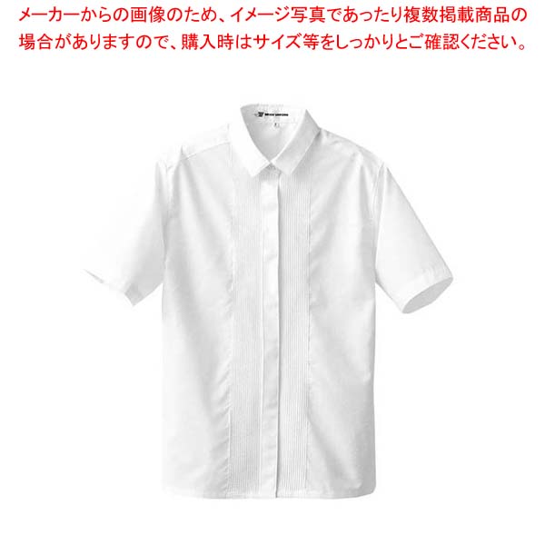 【まとめ買い10個セット品】 ブラウス(女性用)CF1507-0(ピンタック半袖)11号
