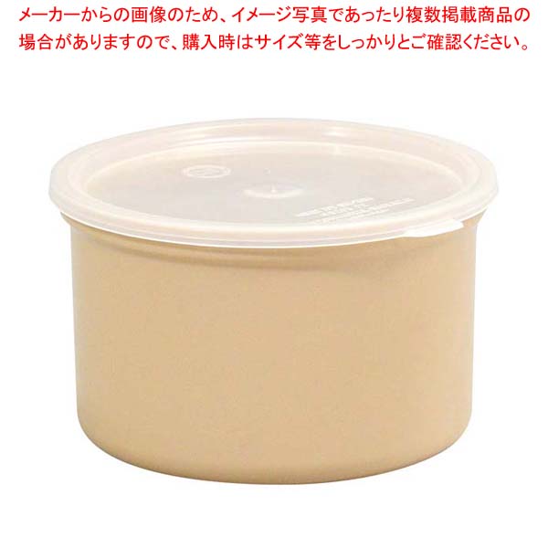 【まとめ買い10個セット品】 カーライル カスタム クロック N 0301 ベージュ