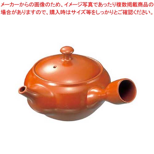 【まとめ買い10個セット品】 急須 H-2 4.7号 850cc 陶器製
