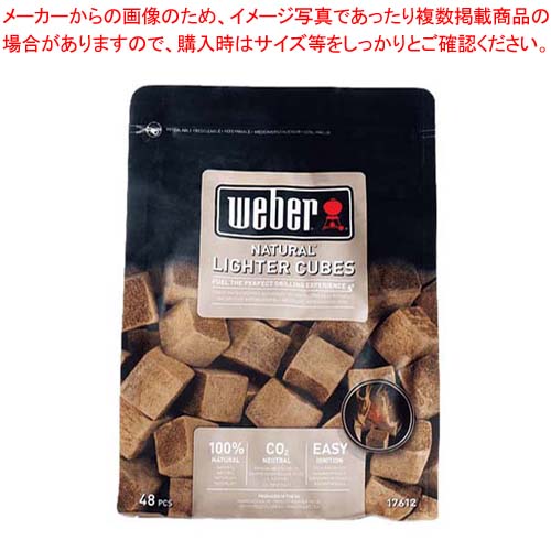 【まとめ買い10個セット品】ウェーバー 着火キューブ(48個入)17612