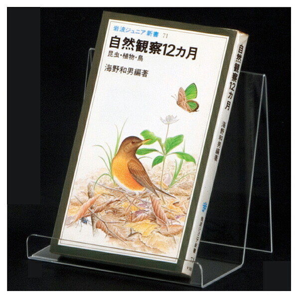 【まとめ買い10個セット品】小物スタンド中 5個入 61-555-44-2 【 演出・ディスプレイ用品 アクセサリーディスプレイ ガラス・アクリル製 小物スタンド 】｜厨房卸問屋 名調 20,413円