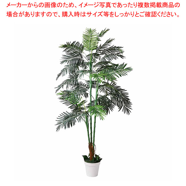 アレカヤシ(人工樹木) 210cm 61-806-84-1