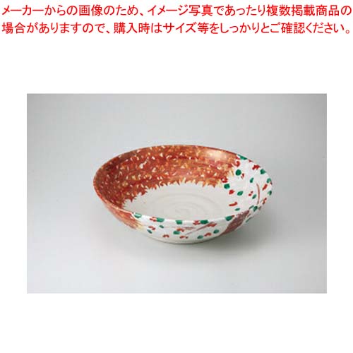 和食器 春 秋 大鉢 37M259-05 まごころ第37集 【卸問屋名調 おしゃれ 食器 テーブルウェア 業務用 居酒屋 レストラン 喫茶店 ホテル 家庭用】