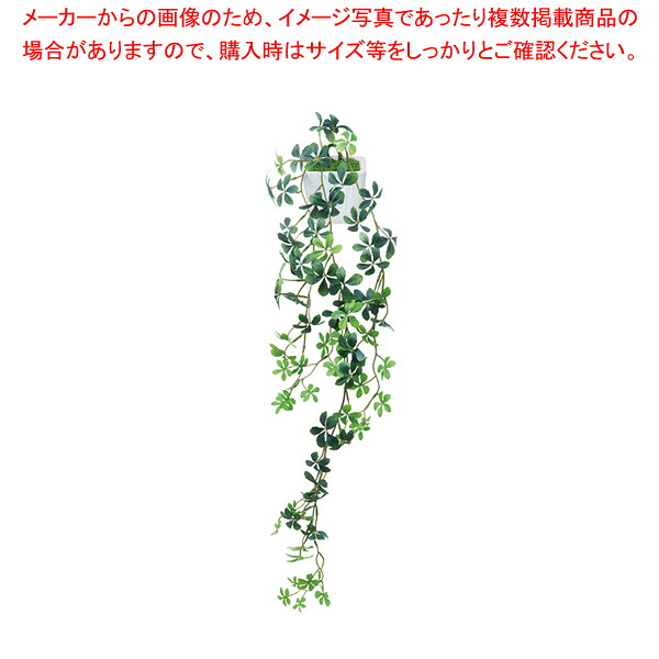 壁掛けシュガーバイン グリーン GKSP｜厨房卸問屋 名調